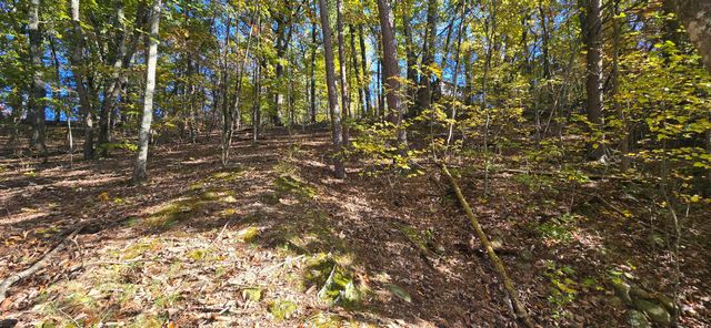 408 Hollywood Drive, Rossville, GA 30741