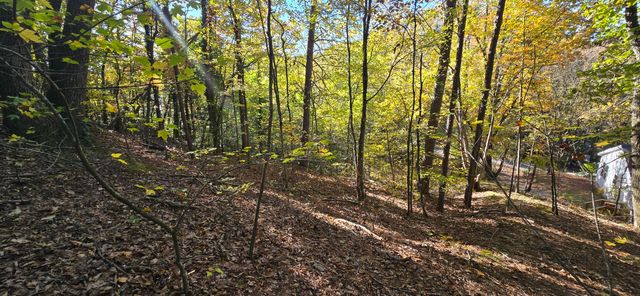 408 Hollywood Drive, Rossville, GA 30741