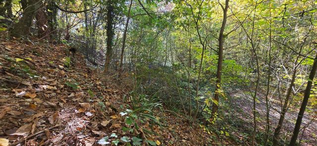 408 Hollywood Drive, Rossville, GA 30741