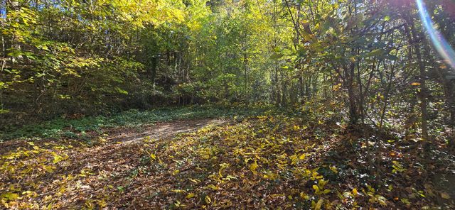 408 Hollywood Drive, Rossville, GA 30741