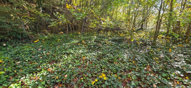 408 Hollywood Drive, Rossville, GA 30741