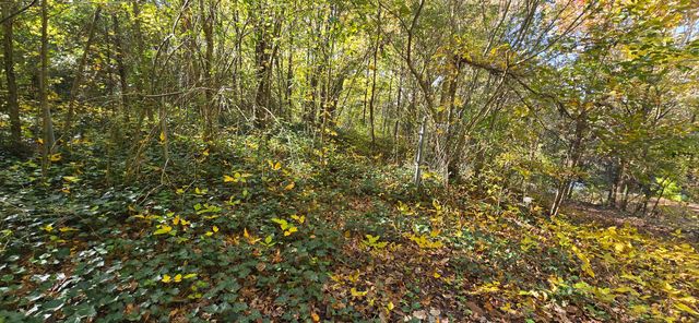 408 Hollywood Drive, Rossville, GA 30741