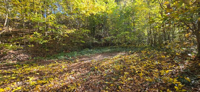 408 Hollywood Drive, Rossville, GA 30741