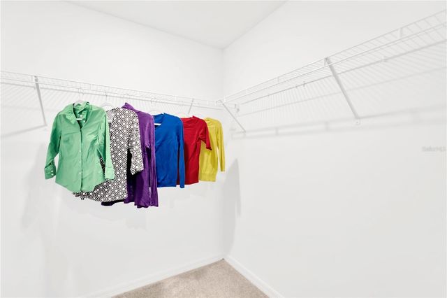 6032 SHINER STREET, Land O Lakes, FL 34638