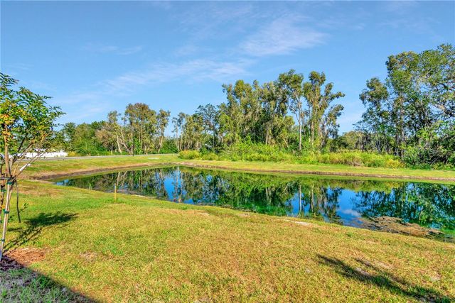 6032 SHINER STREET, Land O Lakes, FL 34638