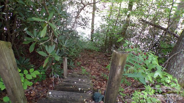 216 Paradise Road, Hendersonville, NC 28792