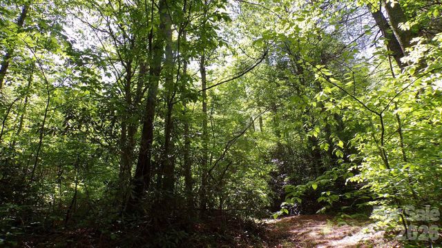 216 Paradise Road, Hendersonville, NC 28792
