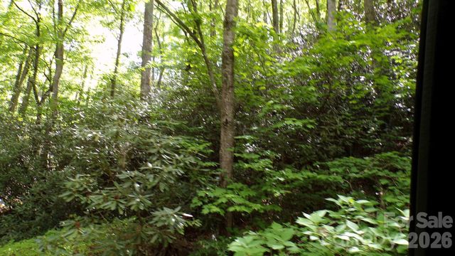 216 Paradise Road, Hendersonville, NC 28792
