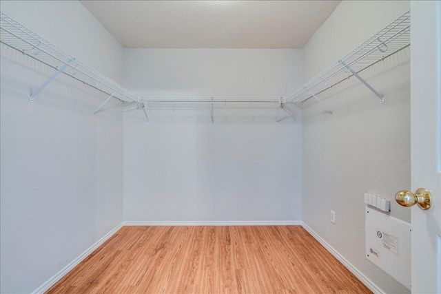 1507 Davis Mountain LOOP, Cedar Park, TX 78613