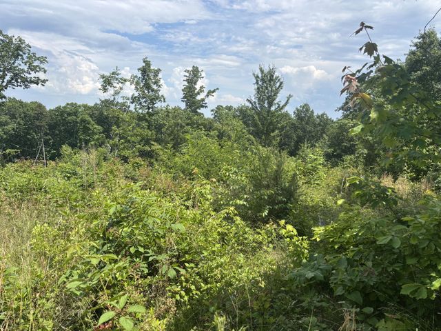 0 Sawmill Creek Rd, Dunlap, TN 37327
