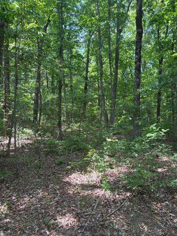 0 Sawmill Creek Rd, Dunlap, TN 37327