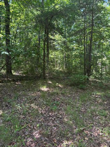 0 Sawmill Creek Rd, Dunlap, TN 37327