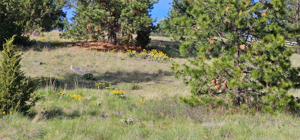 39784 US Hwy 93, Polson, MT 59860 photo 102