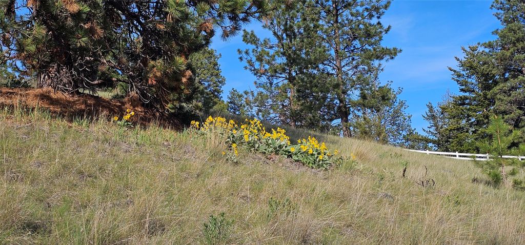 39784 US Hwy 93, Polson, MT 59860 photo 104