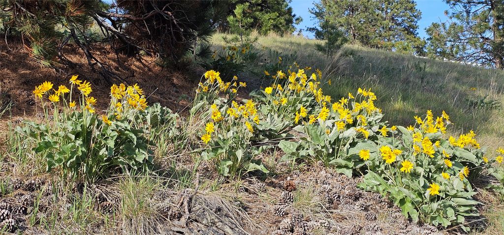 39784 US Hwy 93, Polson, MT 59860 photo 105