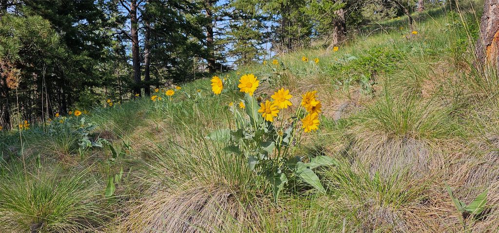 39784 US Hwy 93, Polson, MT 59860 photo 143