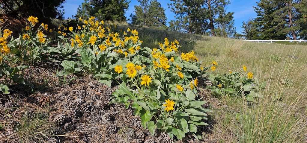 39784 US Hwy 93, Polson, MT 59860 photo 16