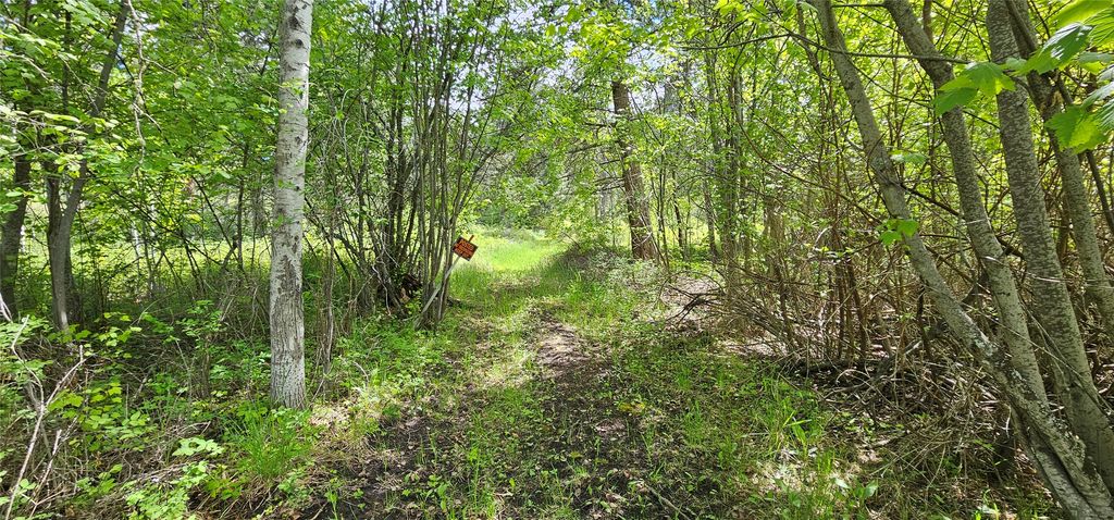 39784 US Hwy 93, Polson, MT 59860 photo 178