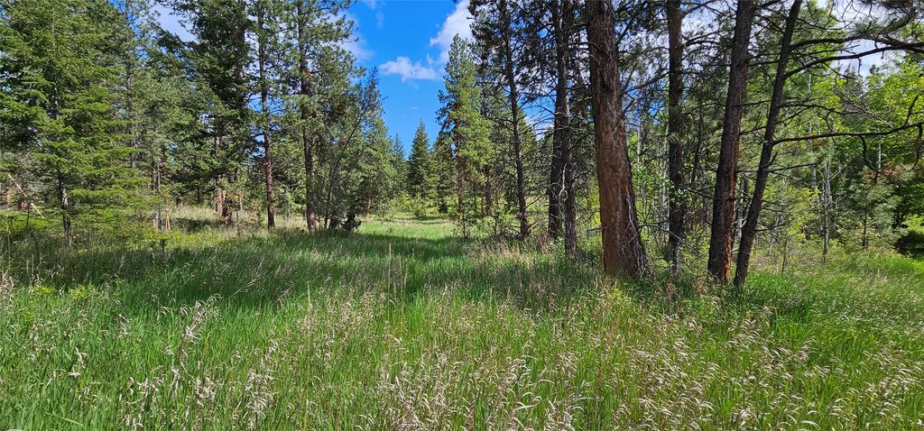 39784 US Hwy 93, Polson, MT 59860 photo 180