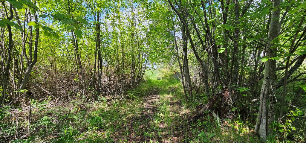 39784 US Hwy 93, Polson, MT 59860 photo 181
