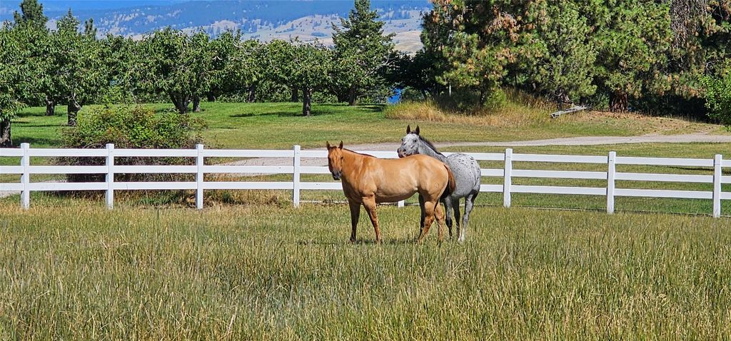39784 US Hwy 93, Polson, MT 59860 photo 4