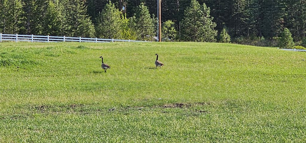 39784 US Hwy 93, Polson, MT 59860 photo 87