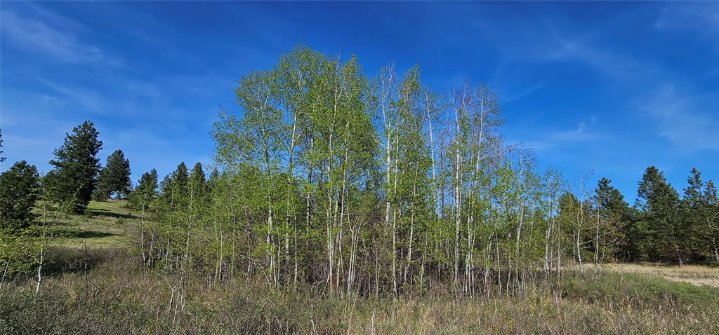 39784 US Hwy 93, Polson, MT 59860 photo 90