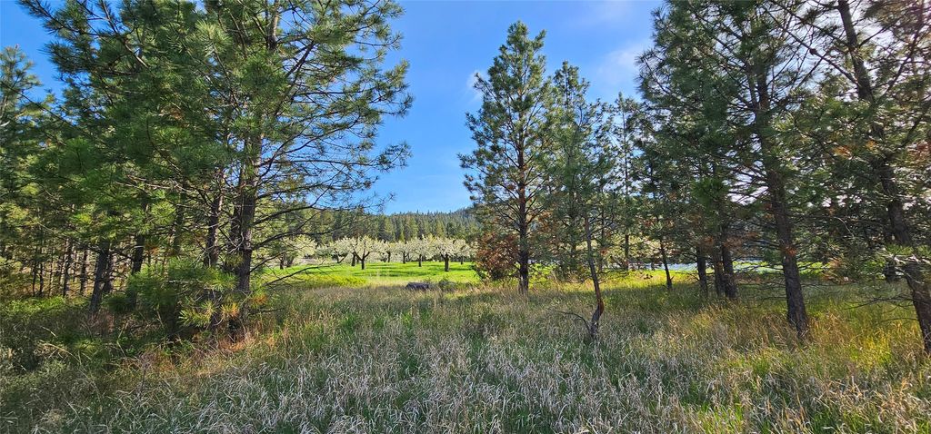 39784 US Hwy 93, Polson, MT 59860 photo 99