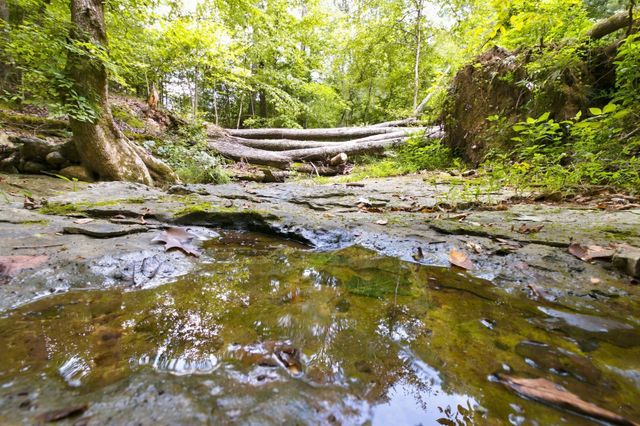 190 Jordan Cm Road, Bon Aqua, TN 37025