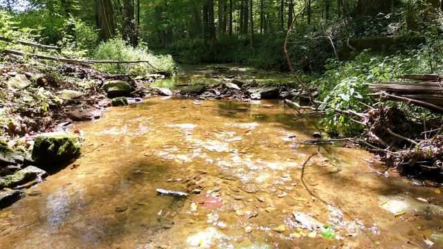 190 Jordan Cm Road, Bon Aqua, TN 37025