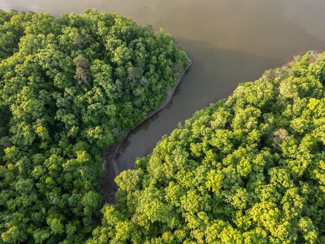 3960 Lamontville Road, Decatur, TN 37322