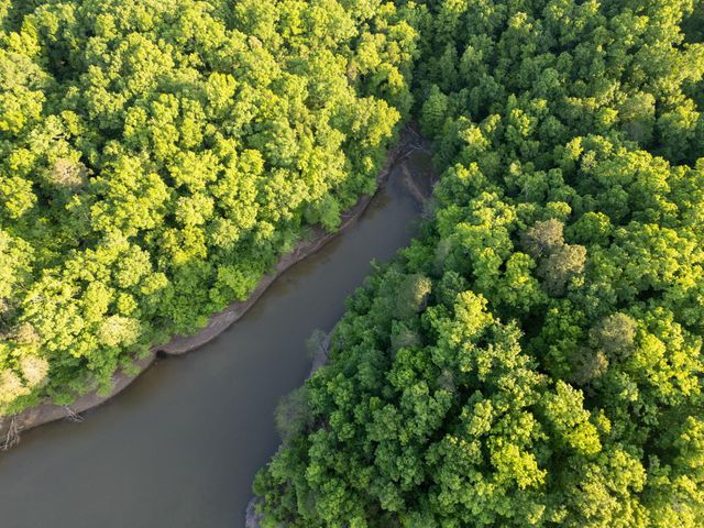 3960 Lamontville Road, Decatur, TN 37322