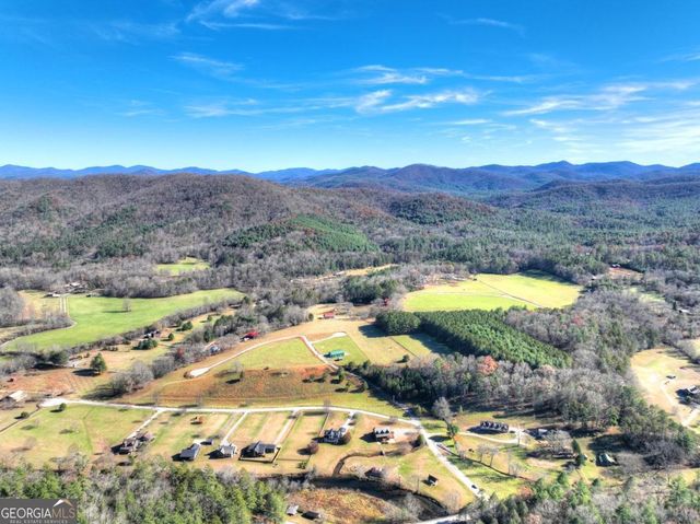 47 Downy Road 2, Blue Ridge, GA 30513
