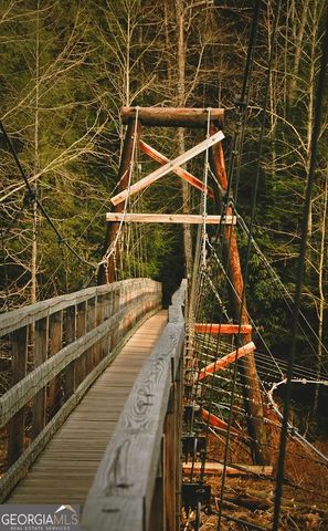 47 Downy Road 2, Blue Ridge, GA 30513