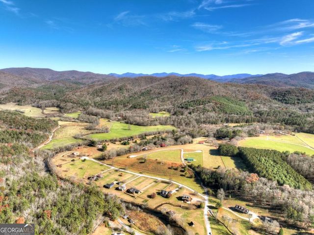 47 Downy Road 2, Blue Ridge, GA 30513