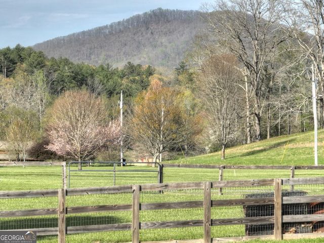 47 Downy Road 2, Blue Ridge, GA 30513