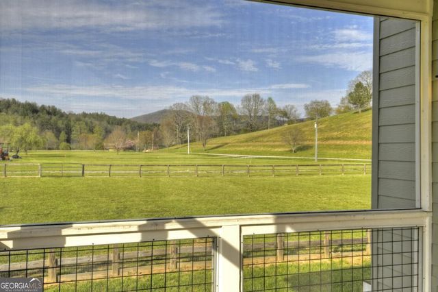 47 Downy Road 2, Blue Ridge, GA 30513