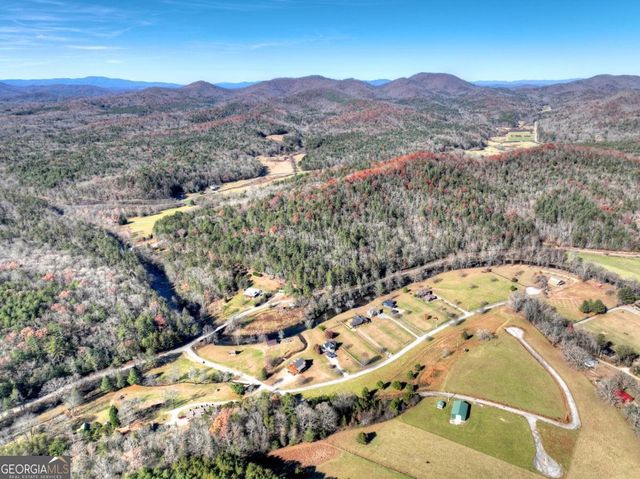 47 Downy Road 2, Blue Ridge, GA 30513