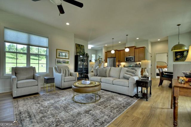 47 Downy Road 2, Blue Ridge, GA 30513