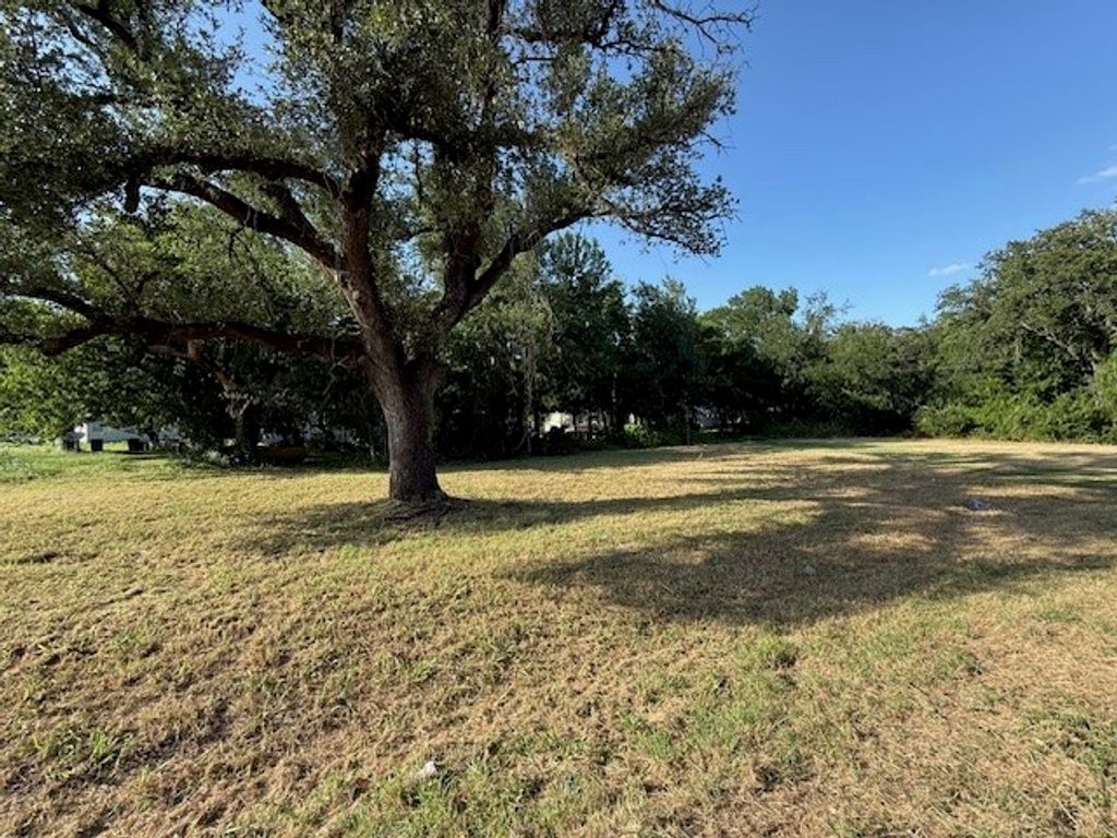 3101 Leo Road, Granbury, TX 76049