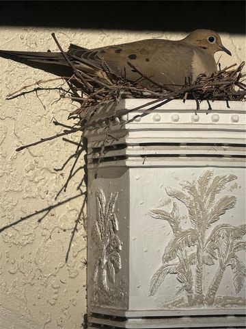 8701 VILLAGE GREEN BOULEVARD, Clermont, FL 34711