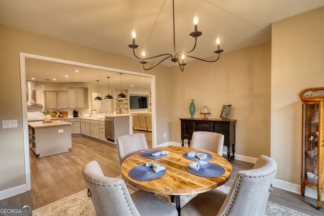 1011 Slip Path, Greensboro, GA 30642