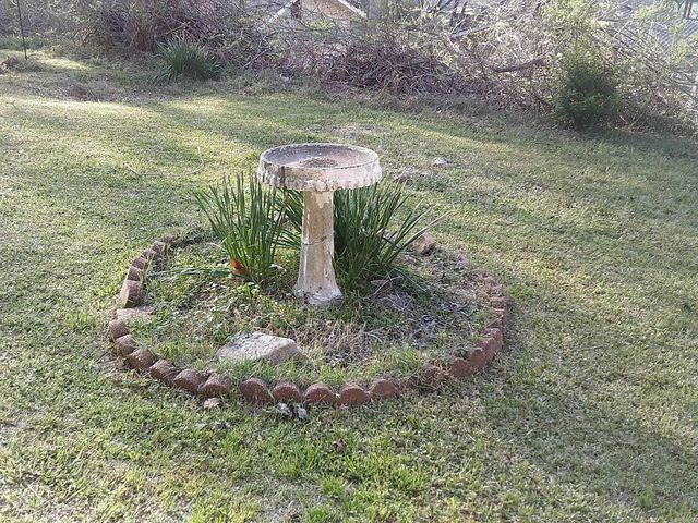 106 McCafferty, Hot Springs, AR 71913