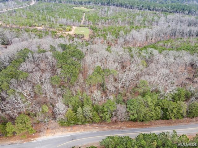 Lot 4 Sexton Bend, Tuscaloosa, AL 35406