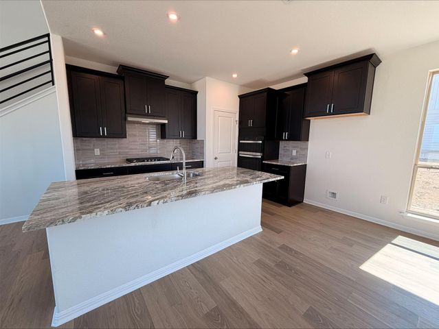 323 Elephant Island LOOP, Kyle, TX 78640