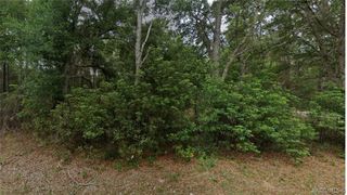 8547 N Fauci Point, Crystal River, FL 34428