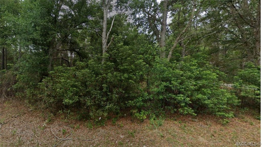 8547 N Fauci Point, Crystal River, FL 34428