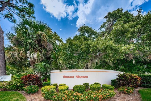 300 S FLORIDA AVENUE 200J, Tarpon Springs, FL 34689