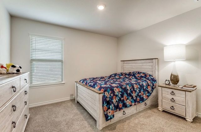 9809 Gooseneck Drive, Aubrey, TX 76227