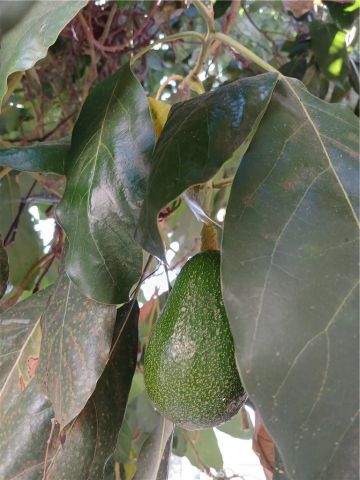 3531 N Figueroa, Los Angeles, CA 90065